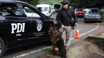 Dejaron morir a Boss, el pastor alemán de la Fiscalía de la CDMX. Denuncian abandono, falta de atención veterinaria y exigen una investigación.