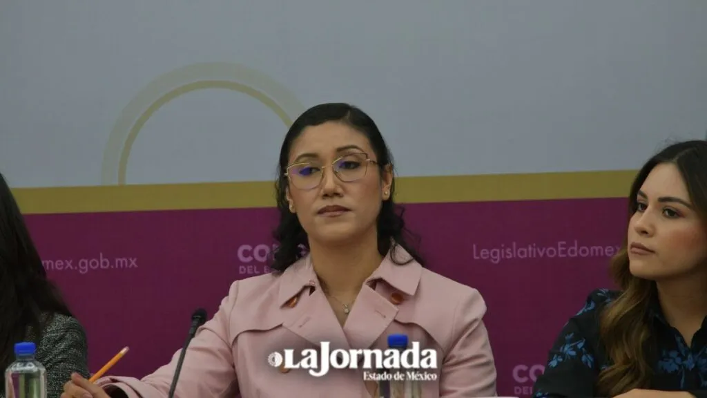 Expertos declaran que urgen reformas para agilizar adopciones en el Edomex