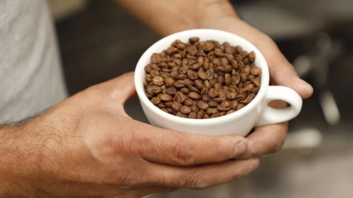 Café mexiquense conquista Japón