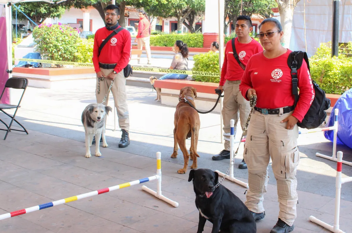 Transforman la vida de 500 mascotas en Tonatico