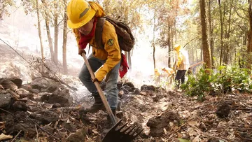 Se triplica incendios forestales en Edomex en lo que va de 2024: PROBOSQUE