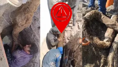 Trabajadores de Sapase extraen raíces que bloquearon el agua potable por 10 años en Ecatepec. FOTO: La Jornada