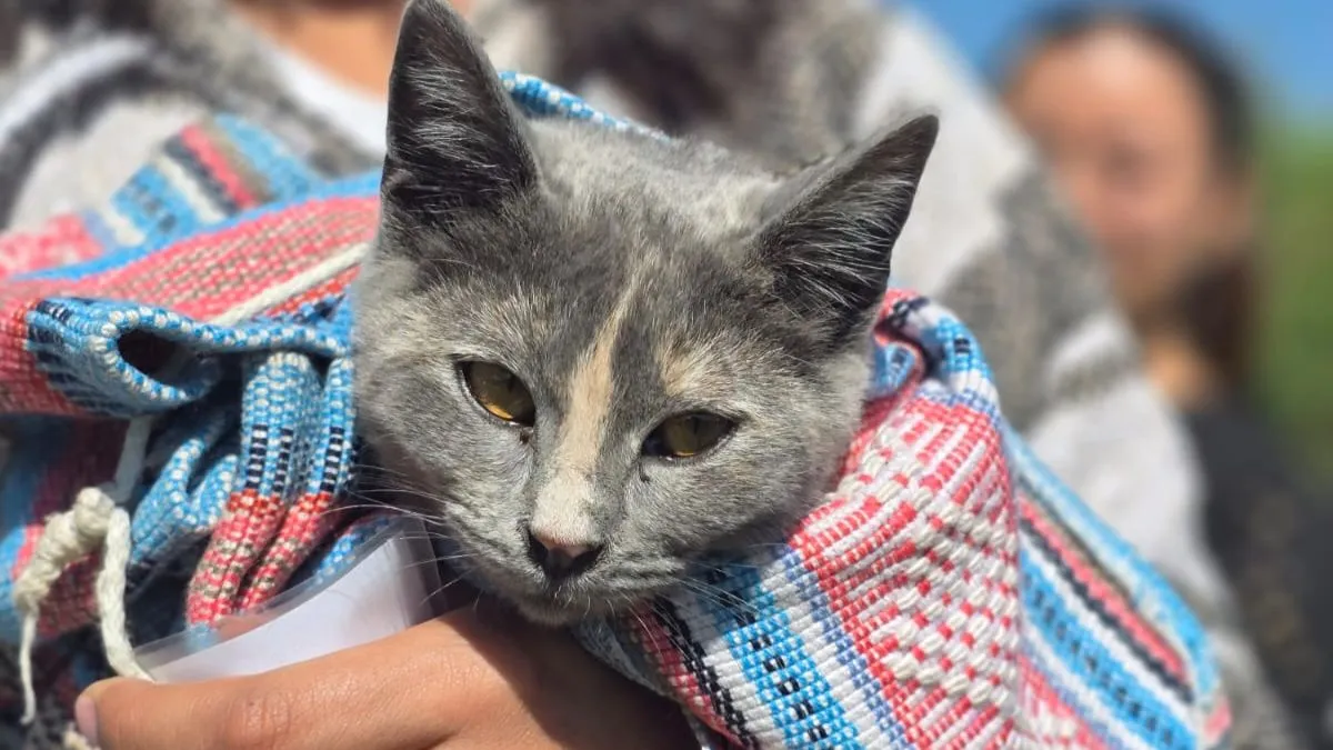 Toluca fortaleció el Centro de Control y Bienestar Animal