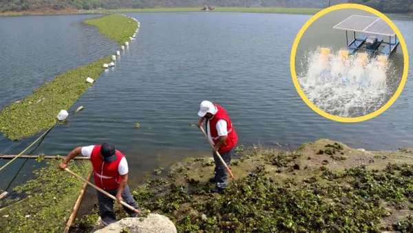 Cuautitlán Izcalli aplica tratamiento para sanear micro lagunas del Lago de Guadalupe