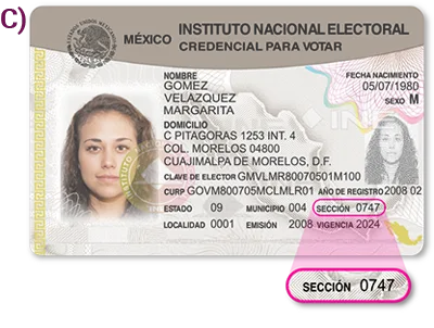 ¿Cuál es la forma correcta de votar?