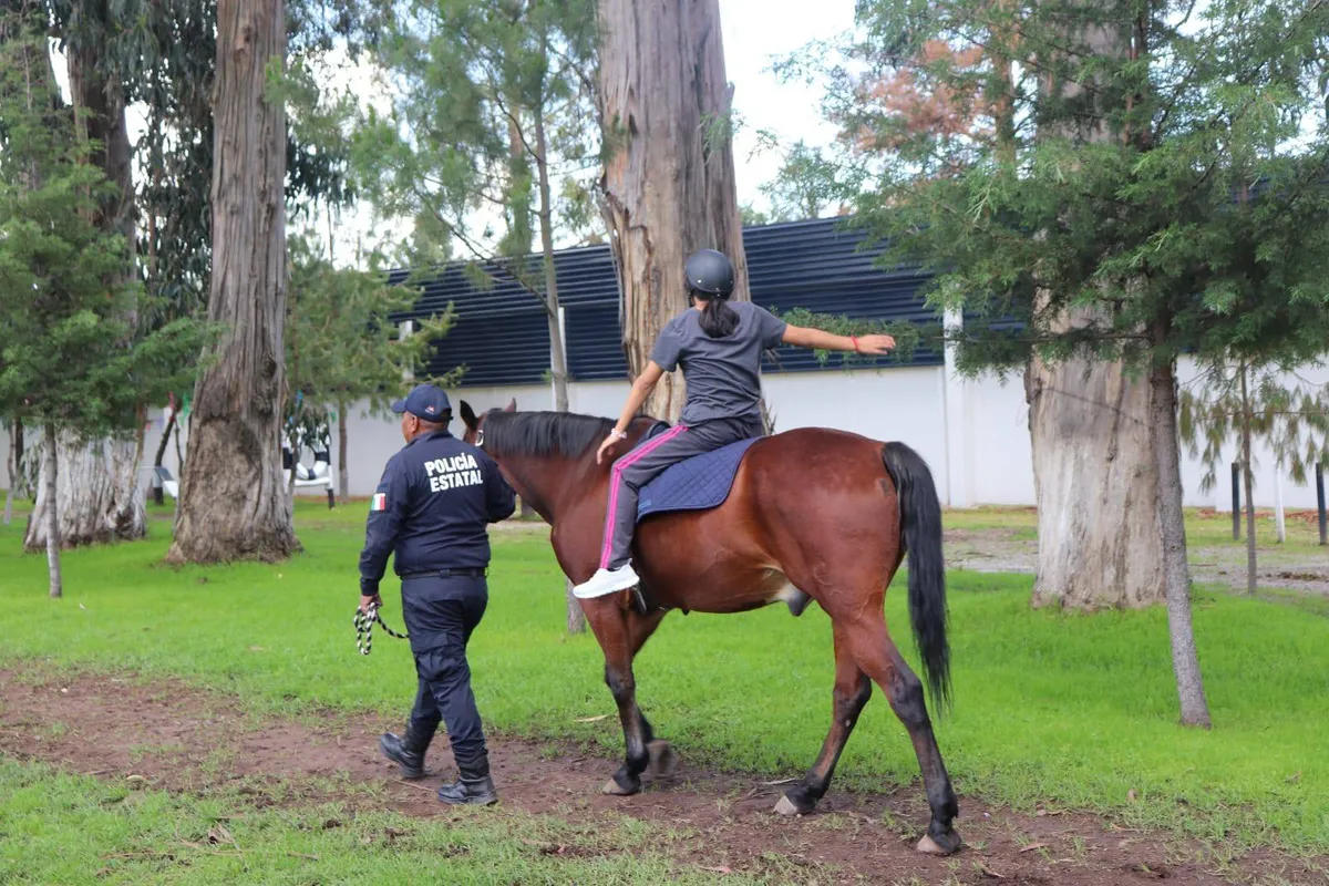 Edomex ofrece sesiones de equinoterapia para los mexiquenses