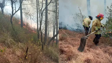 Altas temperaturas y nula educación ambiental provocan incendios forestales: De la Cruz Zetina