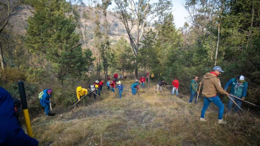 Coacalco: Construyen brechas corta fuego sobre la Sierra de Guadalupe