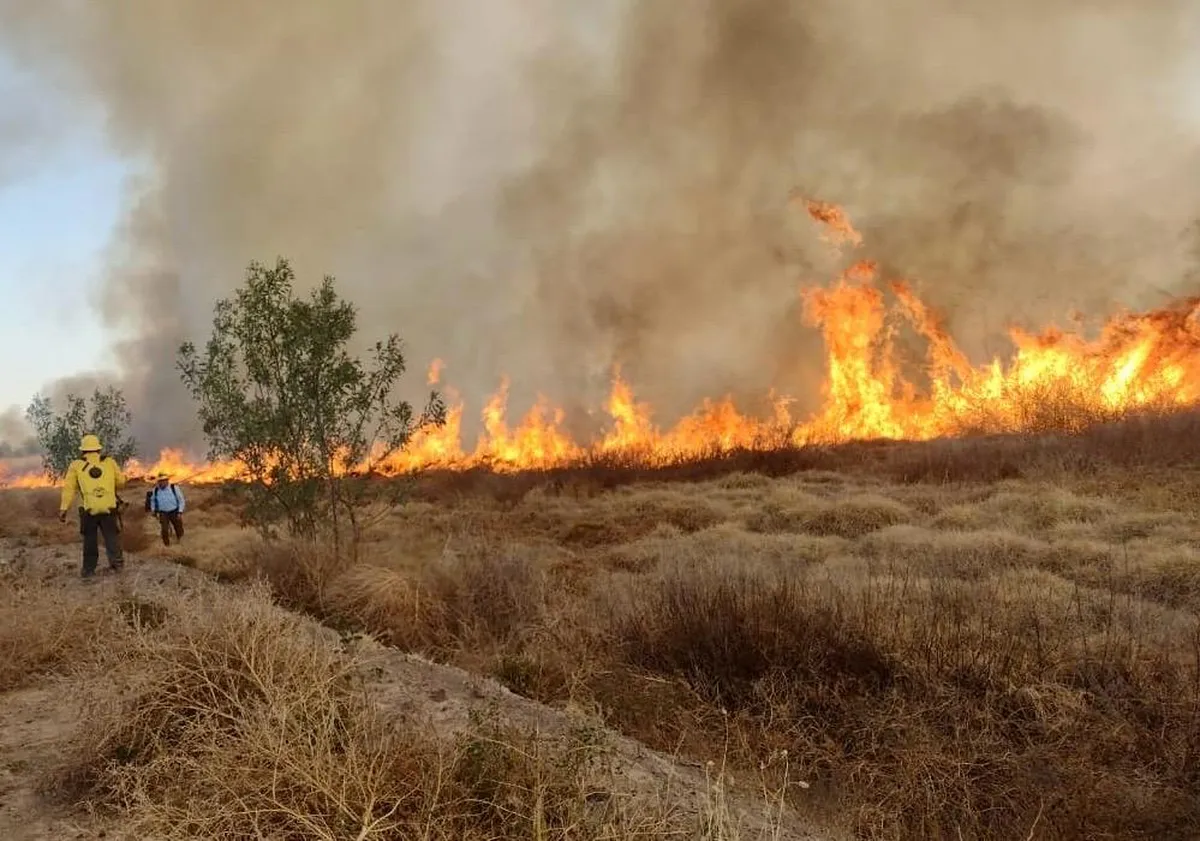 Edomex, primer lugar en incendios forestales