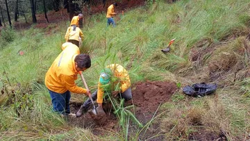 Huixquilucan mantendrá el 65% de su territorio con vocación forestal: Romina Contreras