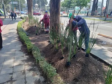 Recupera Gobierno municipal Paseo Colón en favor de la movilidad y seguridad de los habitantes de Toluca