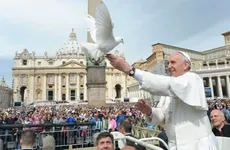 ¿Cuál fue la causa de muerte del papa Francisco?