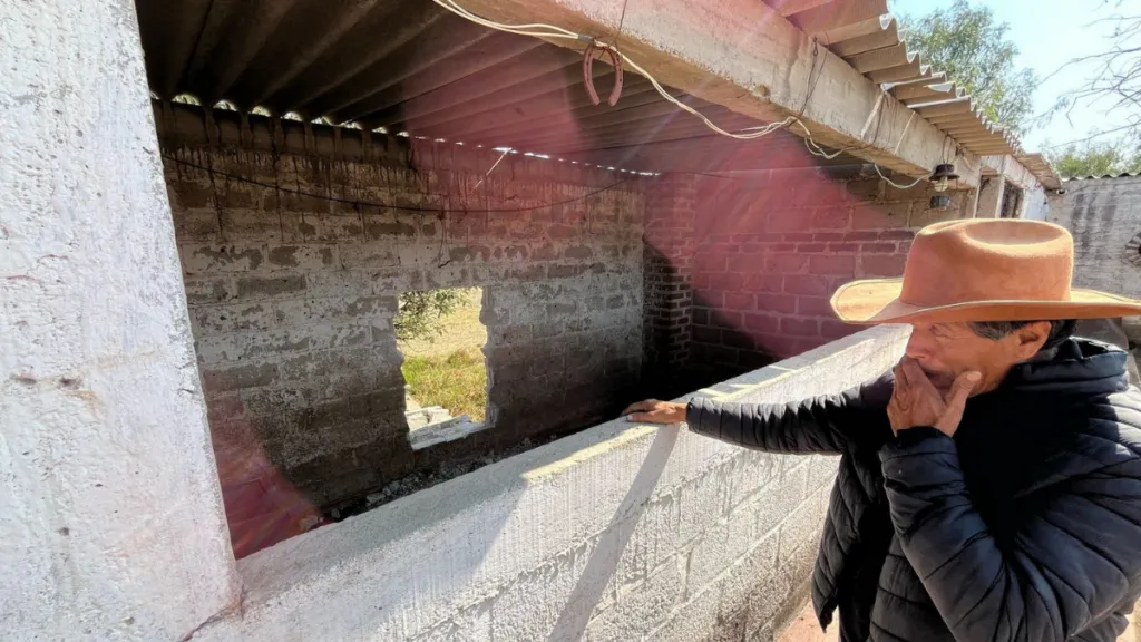 Roban a Burrolandia cuatro ejemplares en proceso de rehabilitación
