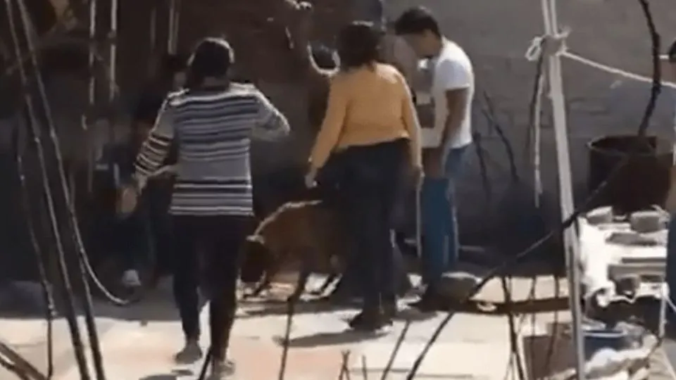 JusticiaParaSilver: detienen a mujer que maltrató hasta la muerte a Silver en Tlalnepantla