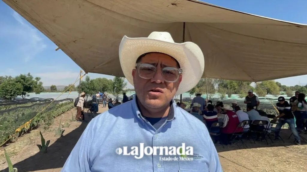 Productores de maíz denuncian robo; piden leyes más severas en Edomex