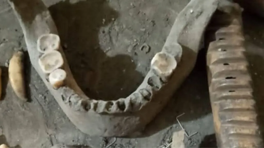 Lotificación y saqueo amenazan sitio arqueológico en Chalco