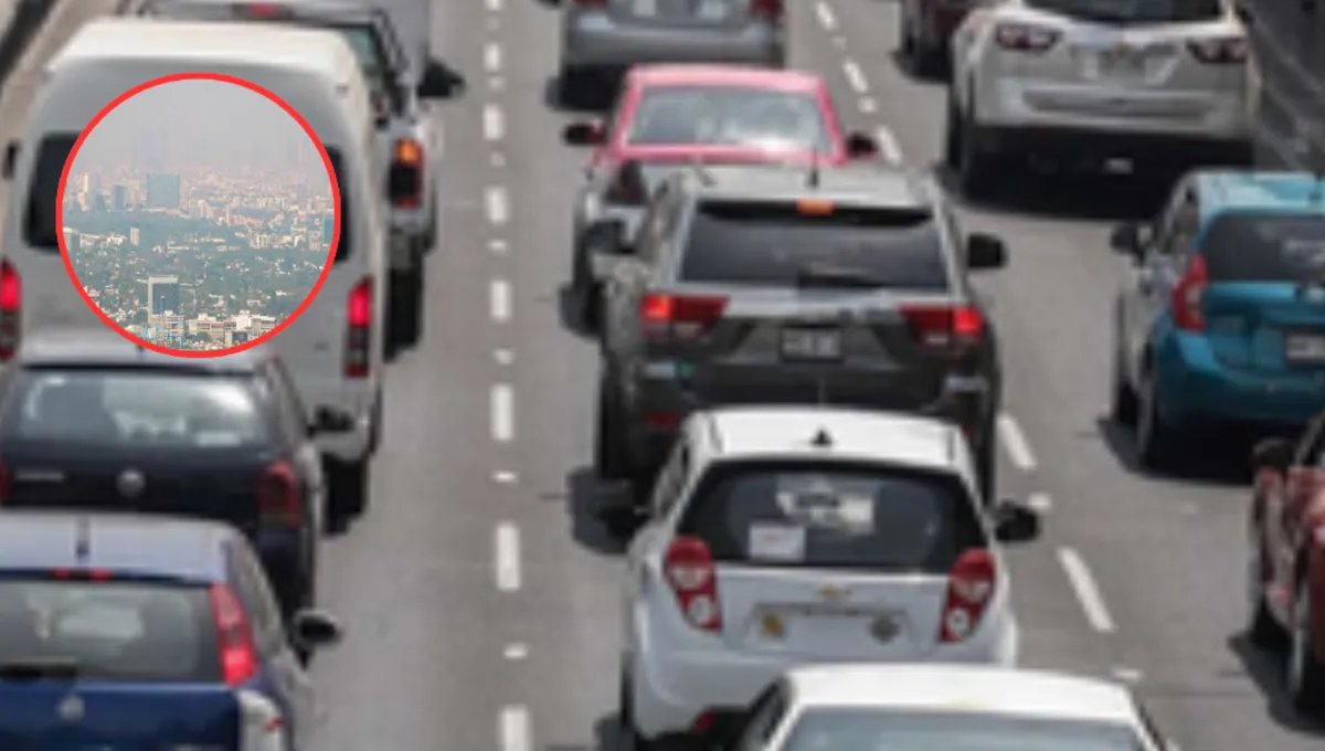 Causa caos mala aplicación del programa de contingencia