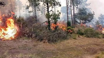 Jilotzingo: Preocupan mil 300 hectáreas de bosques de agua quemados