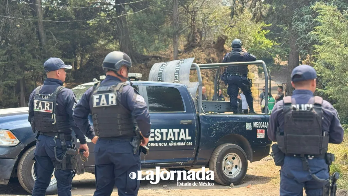 Edomex: robos disminuyen, pero aún se reportan 332 casos diarios en 2025