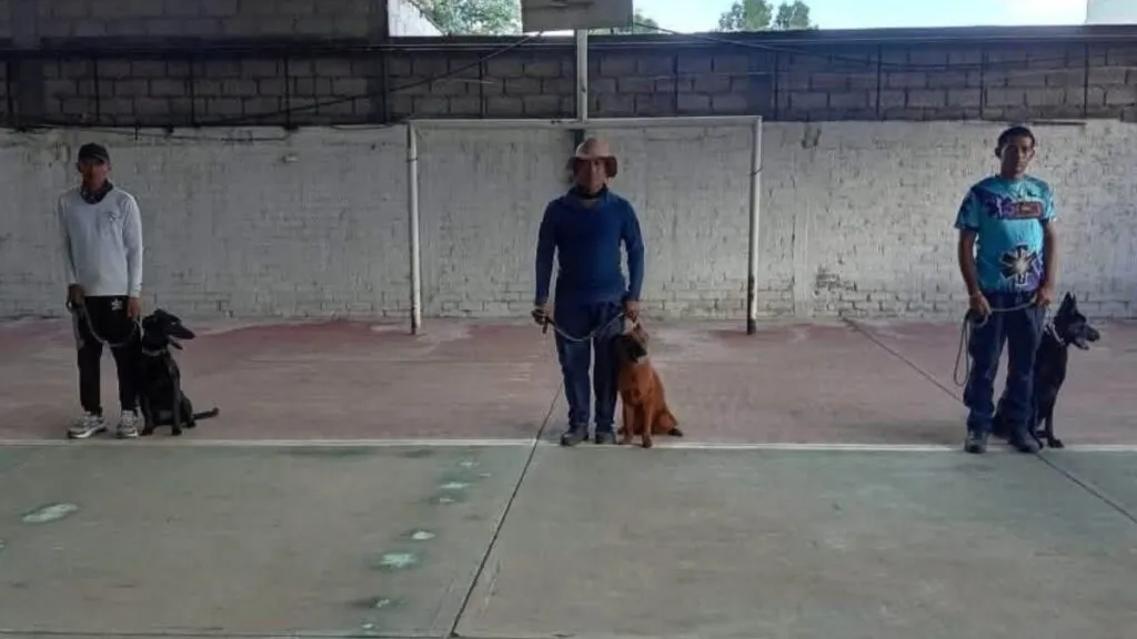 En el Edomex capacitan a cinco binomios K9 de Acapulco