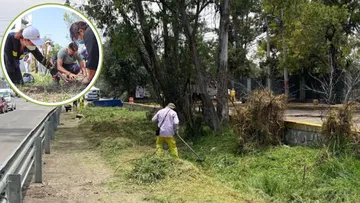 Cuautitlán Izcalli refuerza acciones de poda en 309 árboles en riesgo