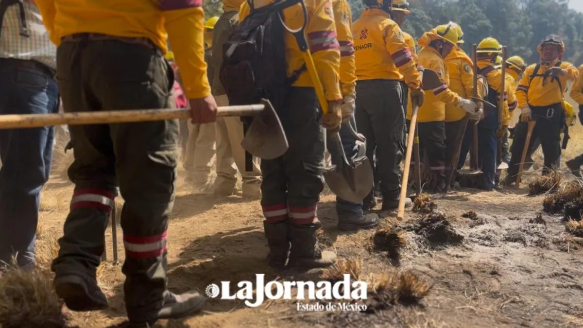 Edomex realiza acciones preventivas ante alerta por incendios en 2026