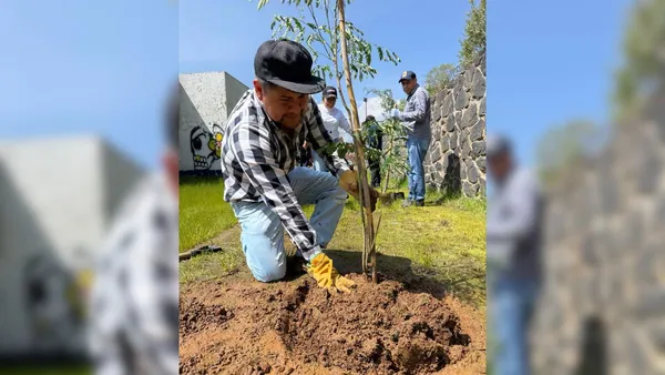 Huixquilucan avanza en la reforestación y protección de áreas naturales