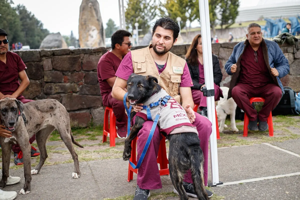 Gracias a esta iniciativa, cuatro perritos encontraron un hogar lleno de amor y cuidados.