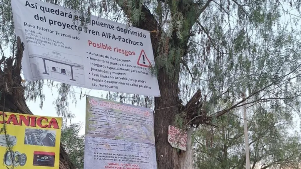 Comunidades denuncian tala de más de 600 árboles por obra del tren AIFA-Pachuca