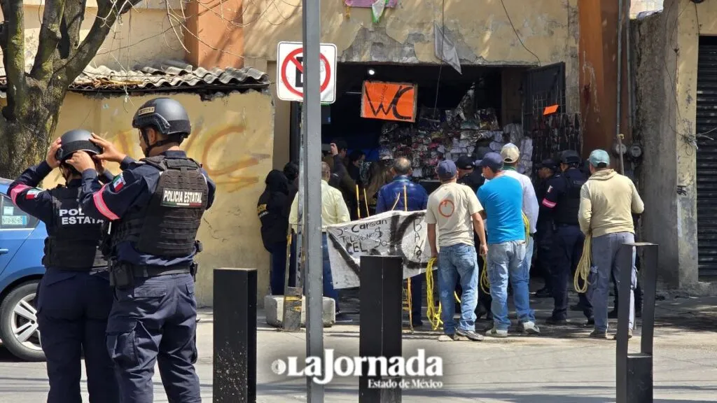 Rescatan a perros criados para peleas clandestinas en el centro de Toluca