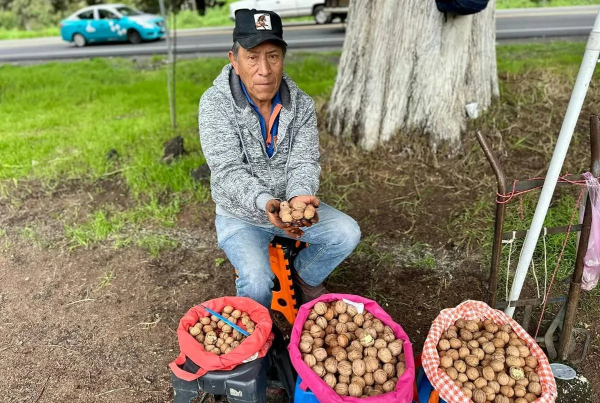 Productores instalan tianguis de nuez de castilla en Atlautla