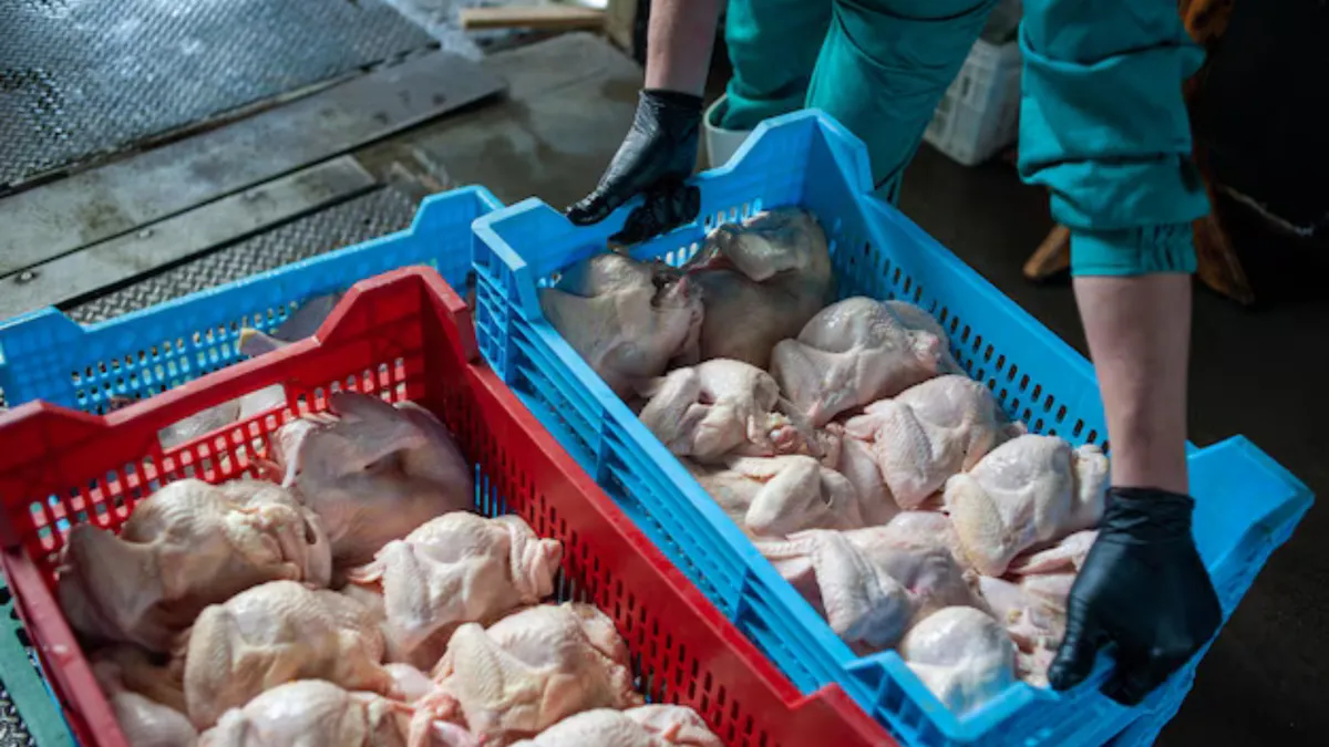 Pollo localizado en bodegas de Toluca, no era apto para consumirse