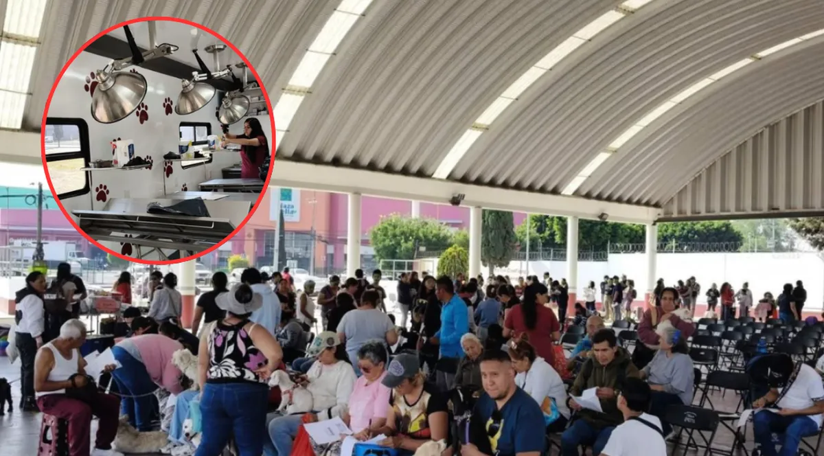 Tecámac lidera bienestar animal con unidad móvil: Esterilizan a 90 mascotas diariamente