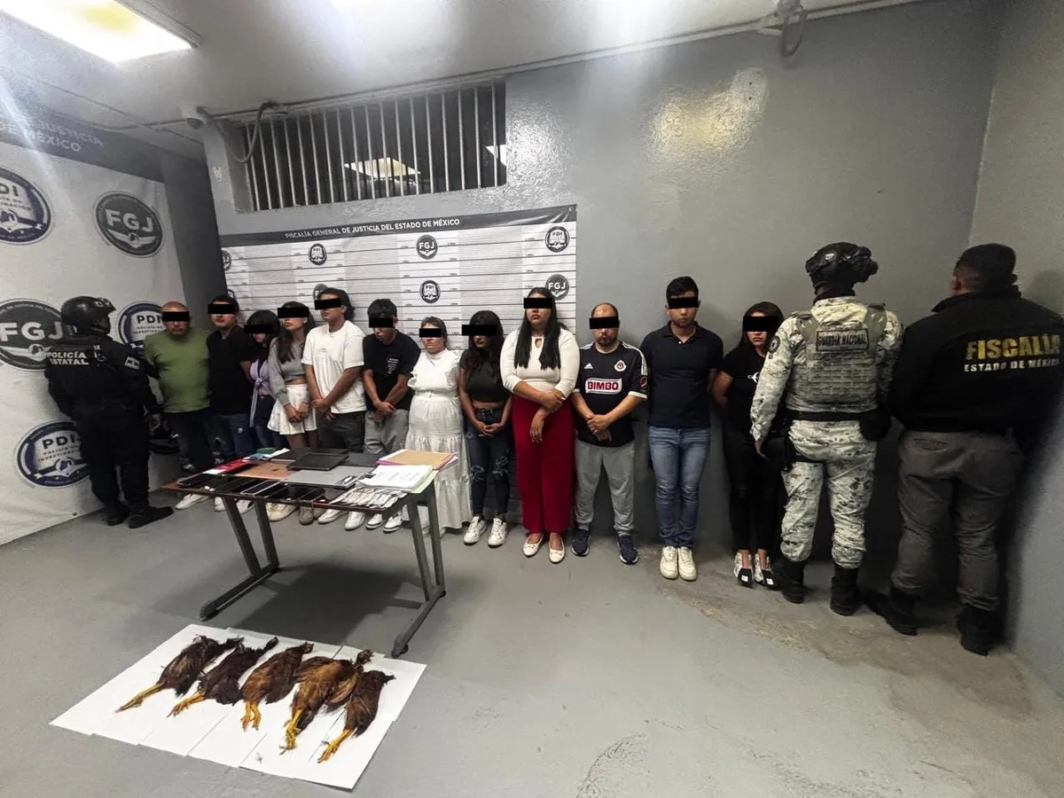 Desmantelan Call Center y hallan gallinas muertas en Operativo contra despojo en Ecatepec