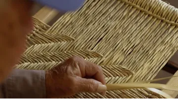 silla-de-palma-edomex-4