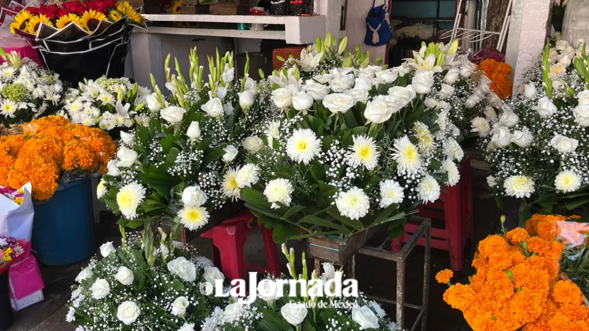 Flores generarán derrama de 1,900 mdp por Día de Muertos
