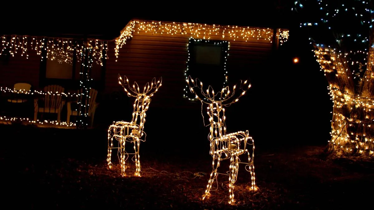 Pirotecnia y la saturación de iluminación decembrinas alteran ecosistemas locales en Edomex