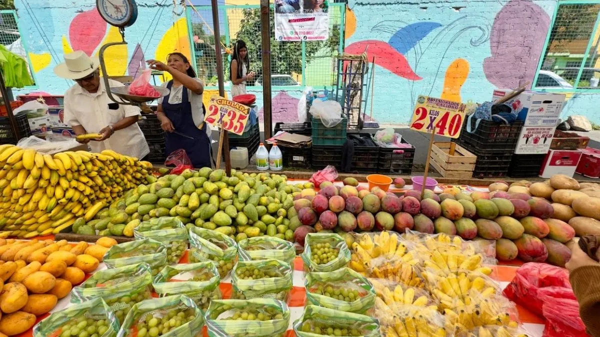 Inflación se desaceleró a 3.72% en primera mitad de diciembre