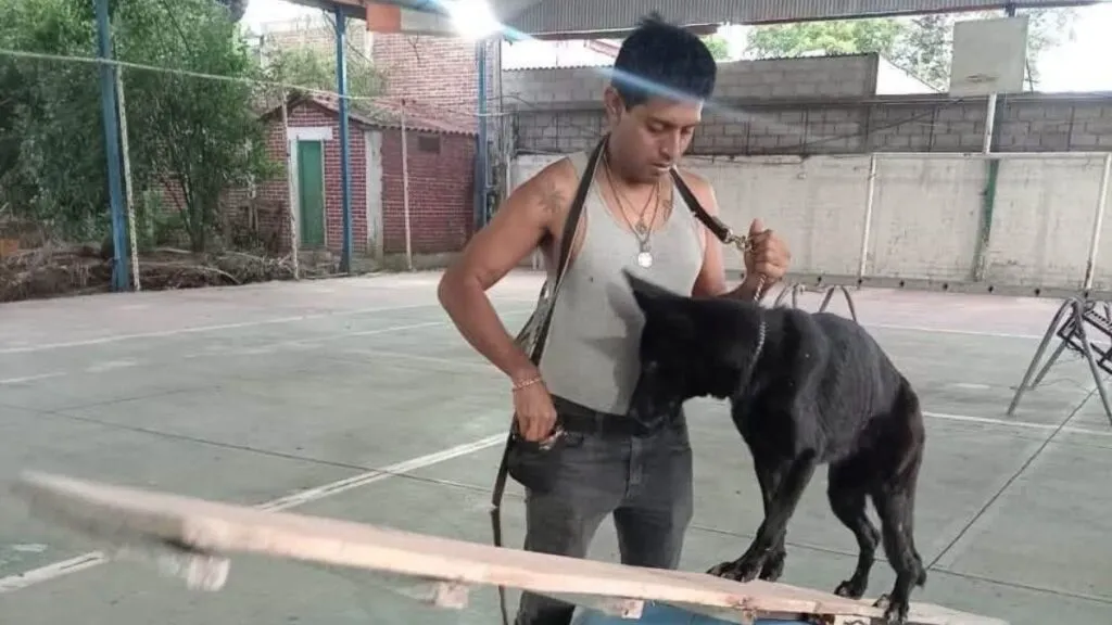 En el Edomex capacitan a cinco binomios K9 de Acapulco