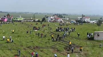 Probosque y COMECyT restauran cuatro hectáreas forestales en Toluca