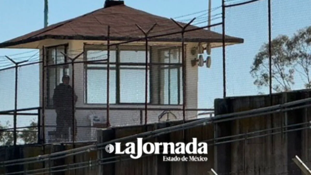 Morena abre debate para nueva Ley de Indulto; se renovará cada 5 años