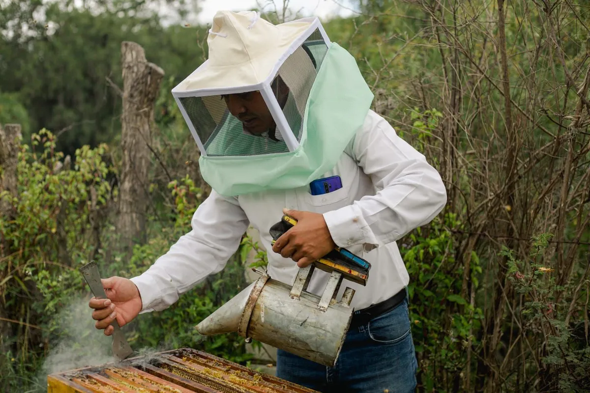 Perfil: Karina y Noé, los apicultores de Texcoco que persiguen la floración para salvar abejas