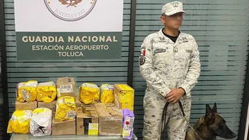 Guardia Nacional decomisa 18 paquetes de marihuana en Aeropuerto de Toluca