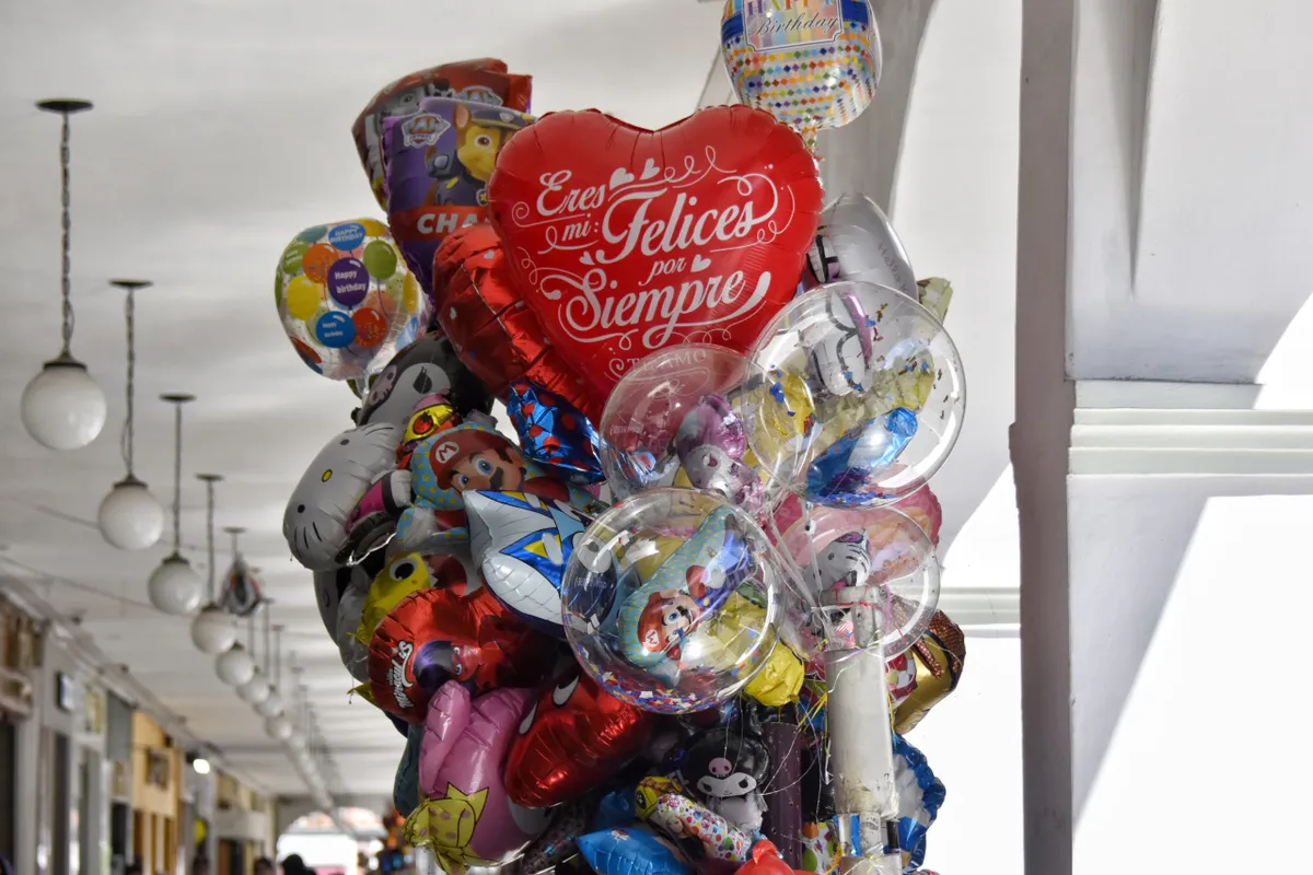 En esta temporada, se prevé la exportación de 13 mil toneladas de flores a Estados Unidos.