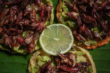 Comida de zona oriente del Edomex tendrá mayor proyección