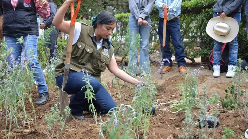 Lugares del Edomex donde habrá avistamiento de luciérnagas