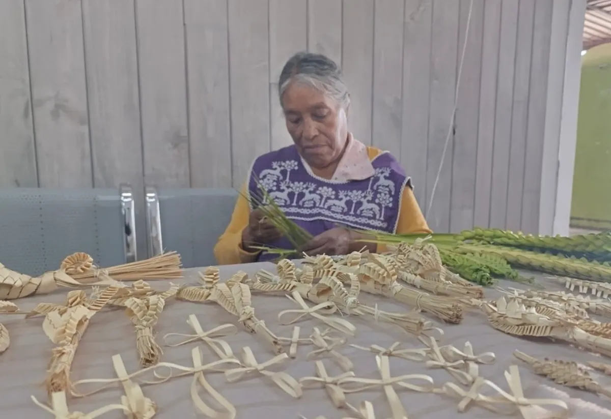 Seis décadas tejiendo fe: Alejandra González, la guardiana de la palma en San Cristóbal Huichochitlán