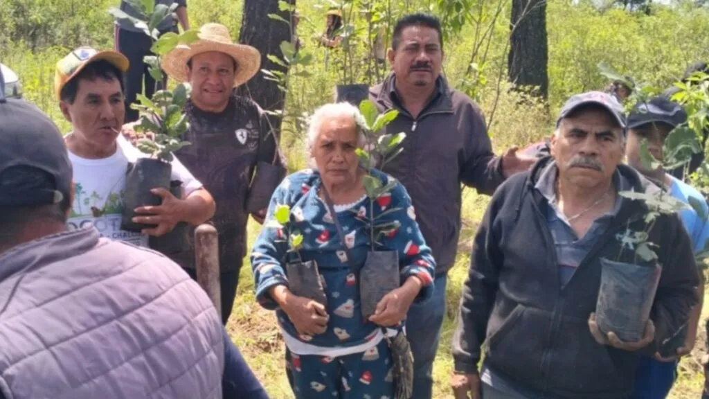 Comité en defensa del parque El Ocotal impulsa campaña de reforestación en Chalco