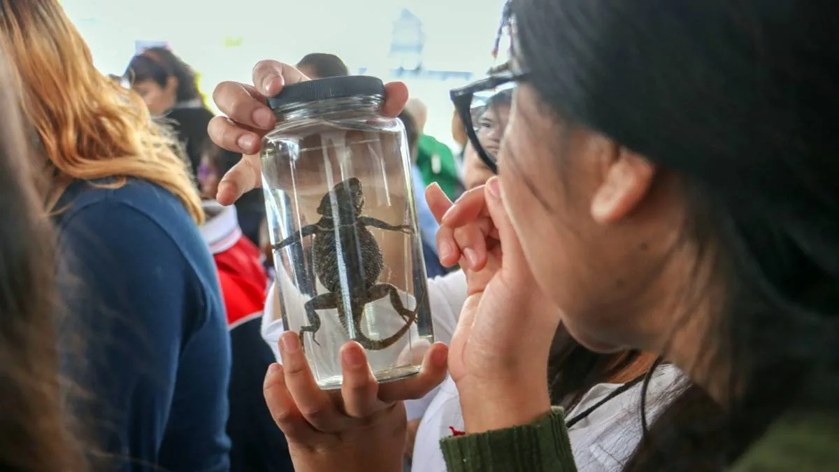 Nezahualcóyotl anuncia creación de museo interactivo de ciencias