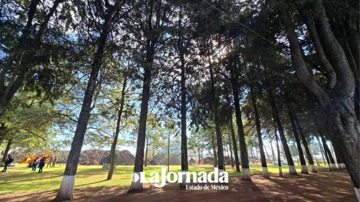 Entra en vigor actualización del decreto de áreas naturales protegidas